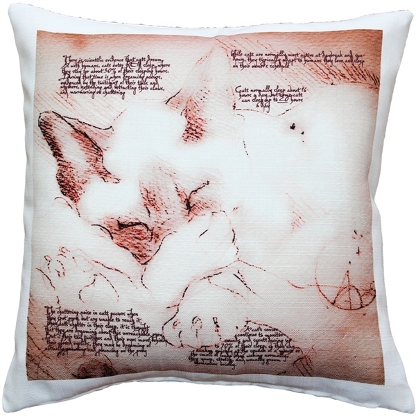 Pillow Decor - Dreaming Cat Throw Pillow 17x17