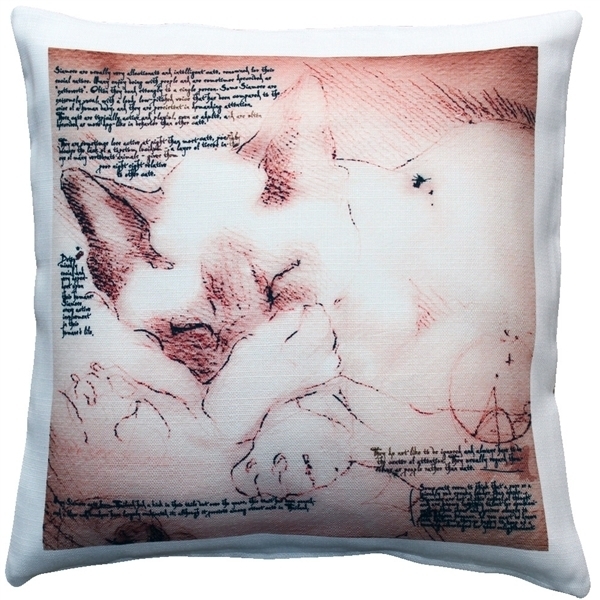 Pillow Decor - Sleeping Siamese Cat Pillow 17x17