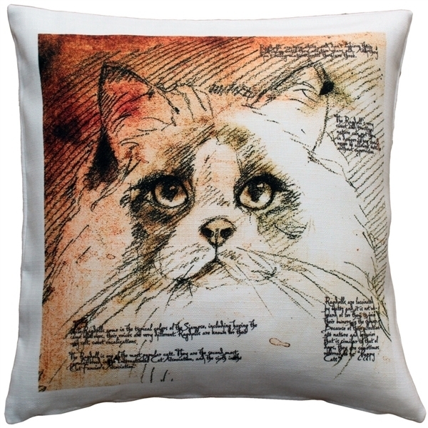 Pillow Decor - Ragdoll Cat Pillow 17x17