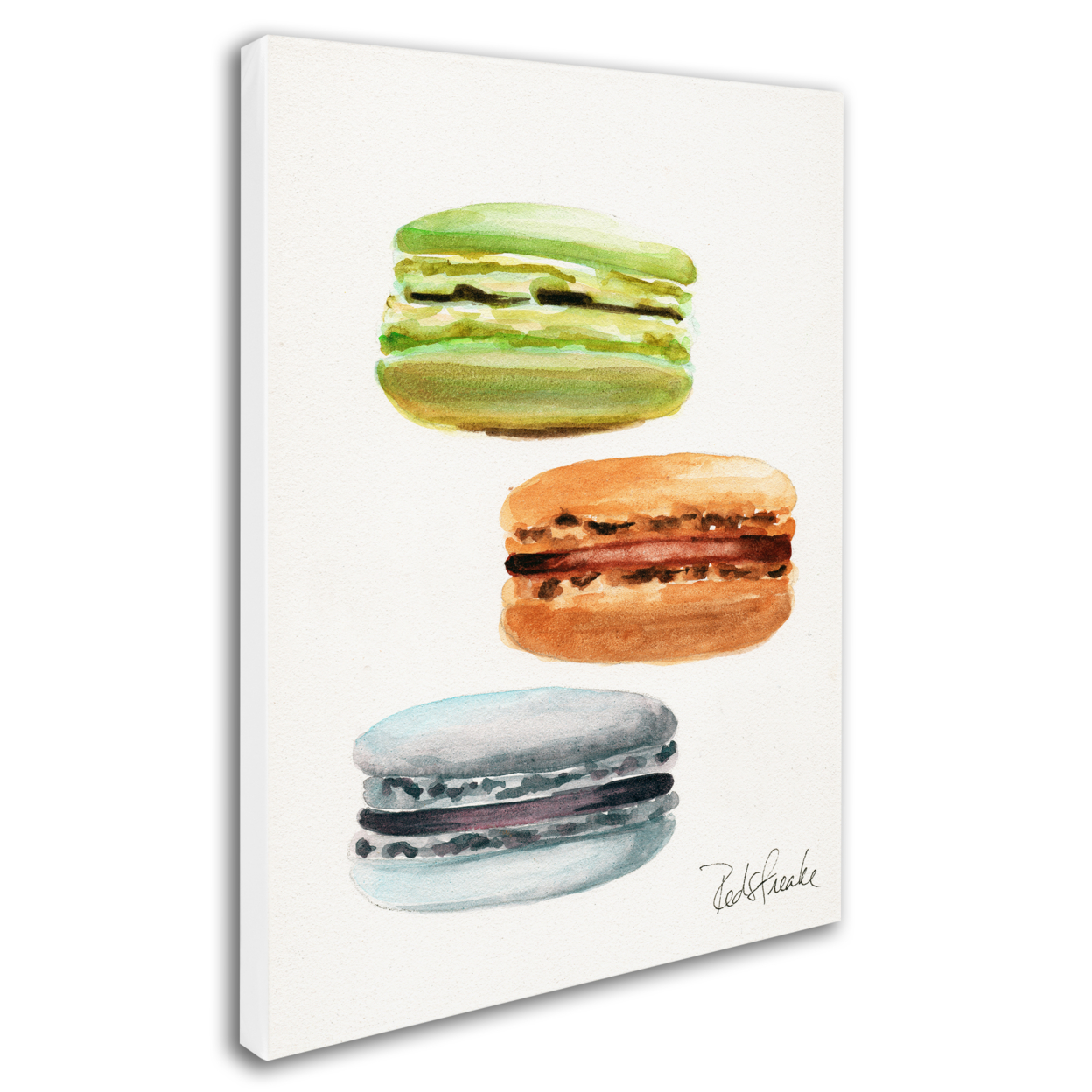 Jennifer Redstreake '3 Macarons No Words' 14 X 19 Canvas Art
