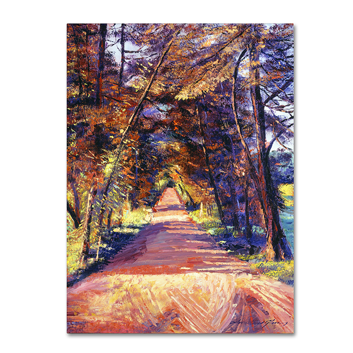 David Lloyd Glover 'Southern France Country' 14 X 19 Canvas Art