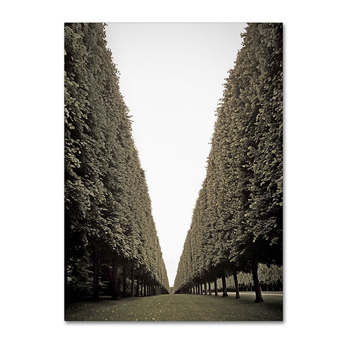 Preston 'Parisian Versailles Trees' 14 X 19 Canvas Art