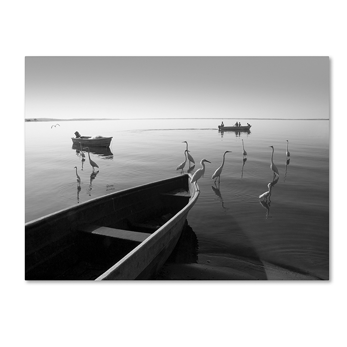 Moises Levy 'Herons And 3 Boats' 14 X 19 Canvas Art
