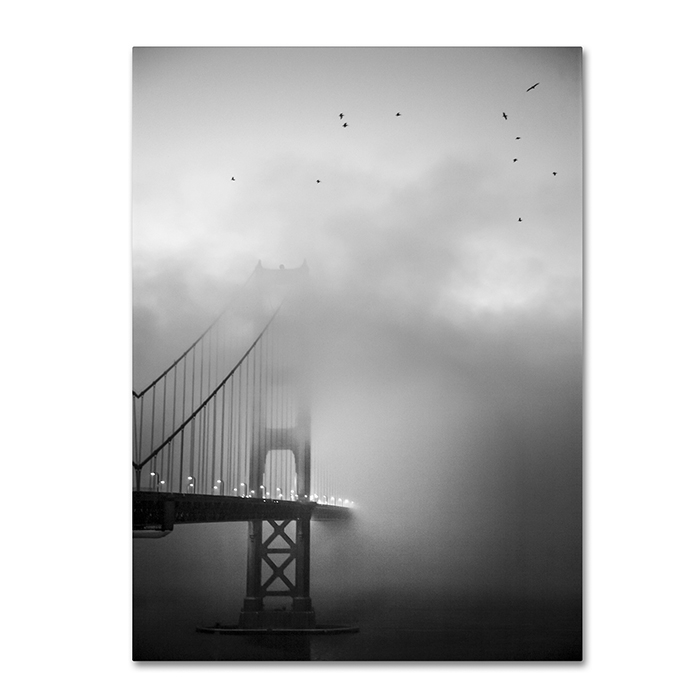 Moises Levy 'Golden Gate And Birds' 14 X 19 Canvas Art