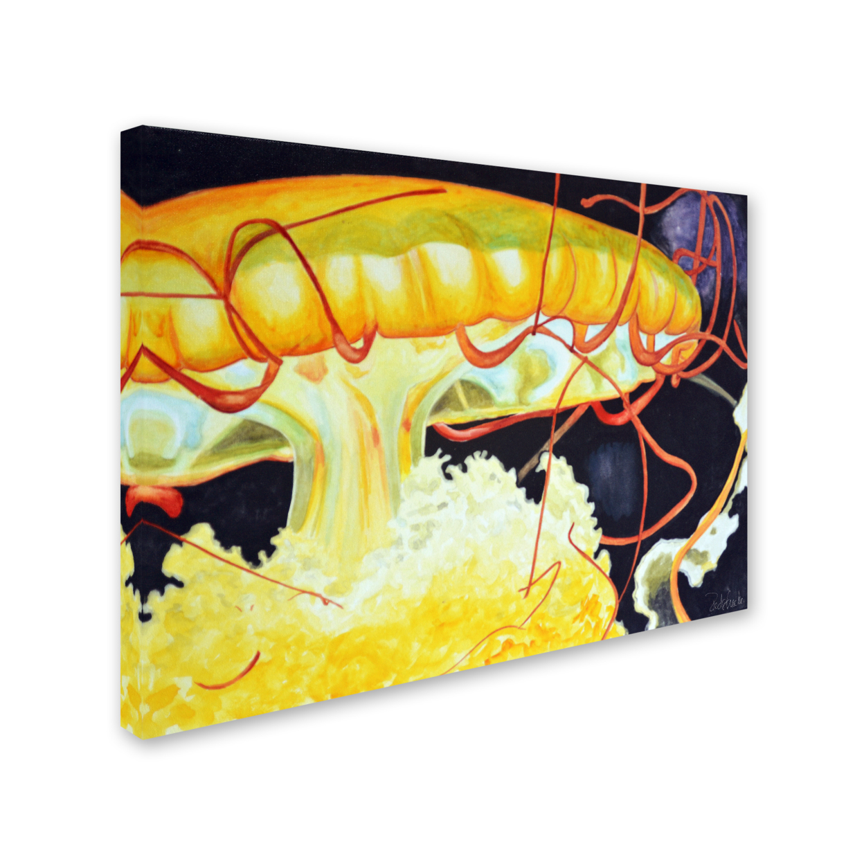 Jennifer Redstreake 'Chattanooga Jelly Fish' 14 X 19 Canvas Art
