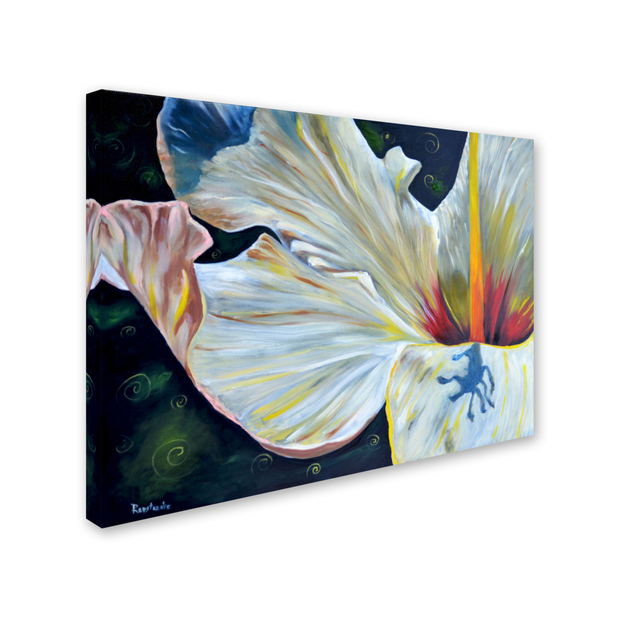 Jennifer Redstreake 'Hibiscus' 14 X 19 Canvas Art