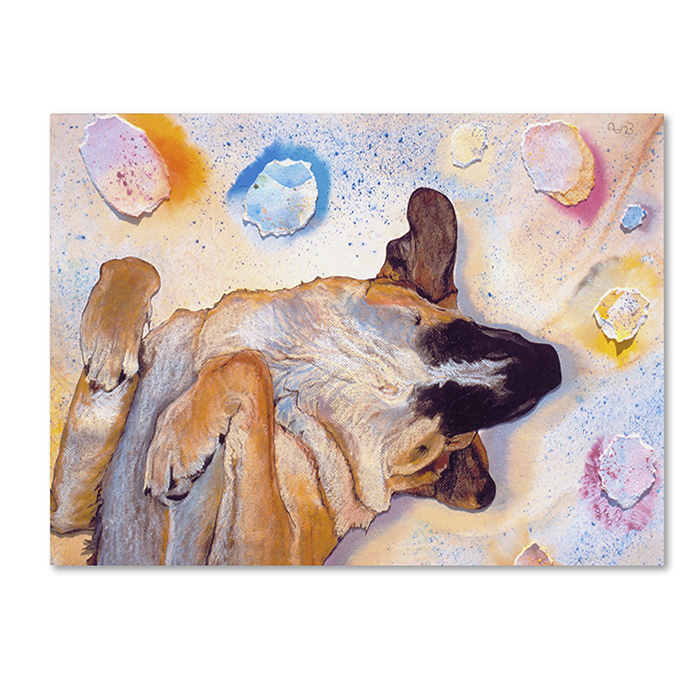Pat Saunders-White 'Dog Dreams' 14 X 19 Canvas Art