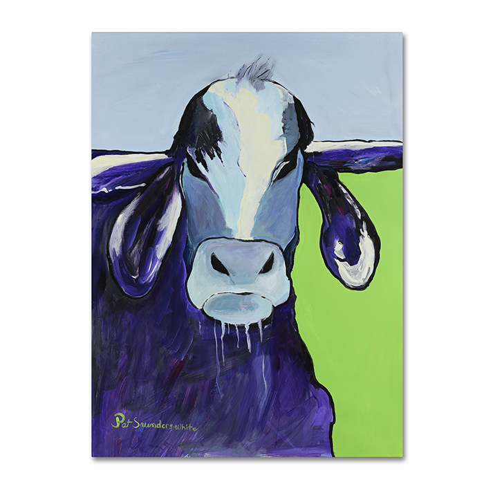 Pat Saunders-White 'Bull Drool' 14 X 19 Canvas Art