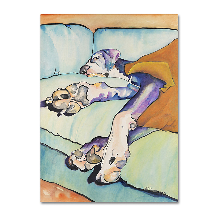 Pat Saunders-White 'Sweet Sleep II' 14 X 19 Canvas Art