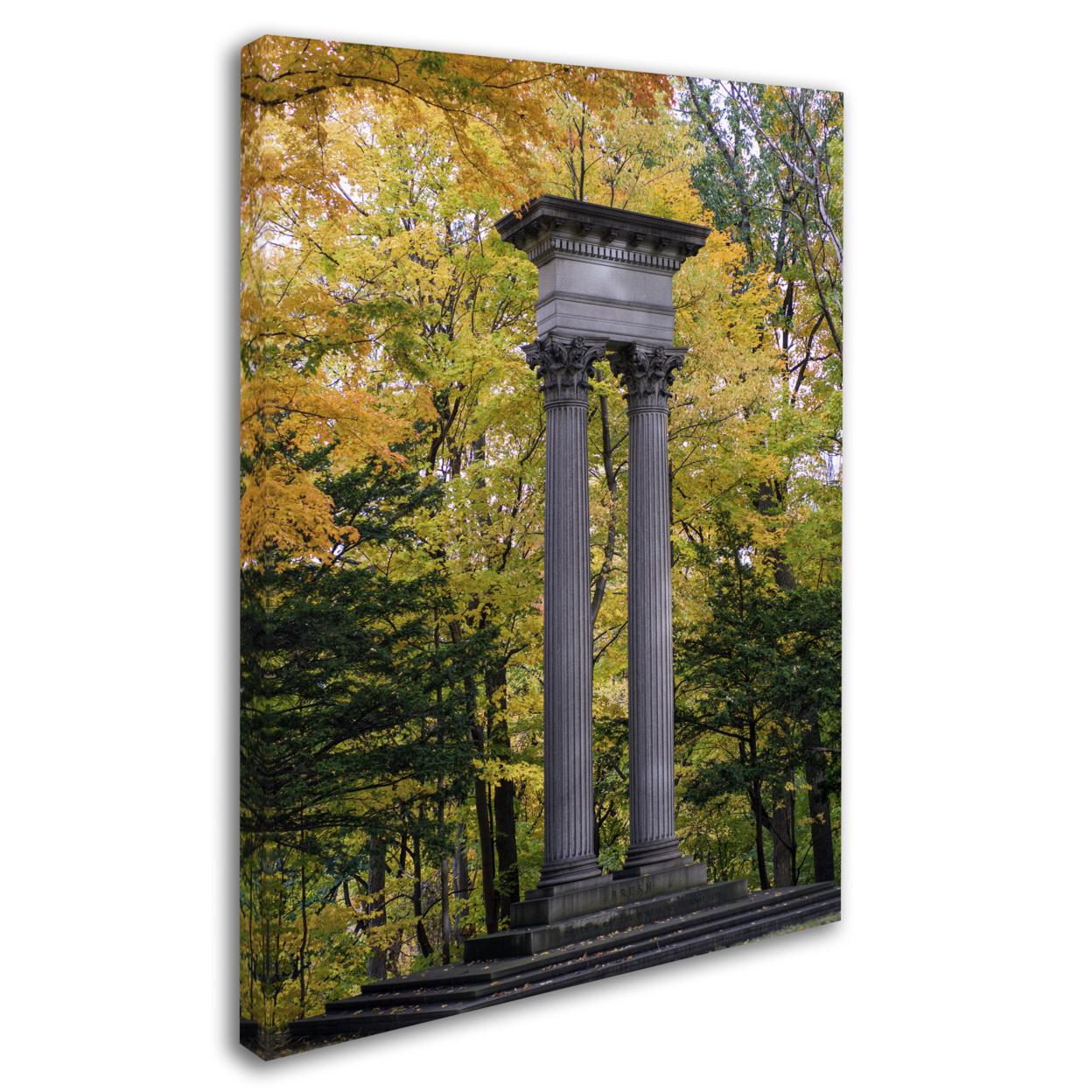 Kurt Shaffer 'Autumn Columns' 14 X 19 Canvas Art