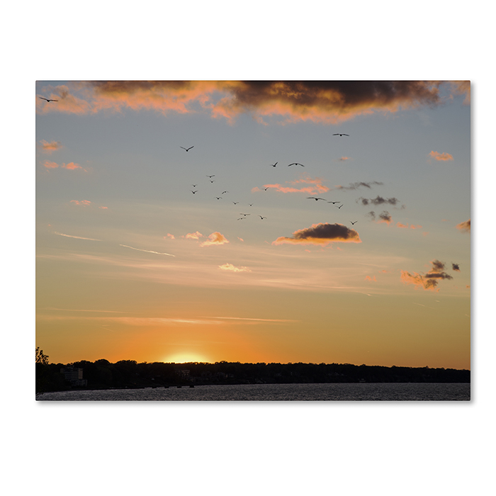 Kurt Shaffer 'Seagull Sunset' 14 X 19 Canvas Art