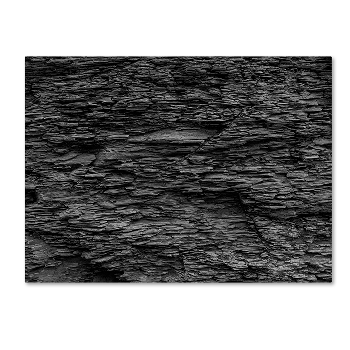 Kurt Shaffer 'Shale Abstract In Black And White' 14 X 19 Canvas Art