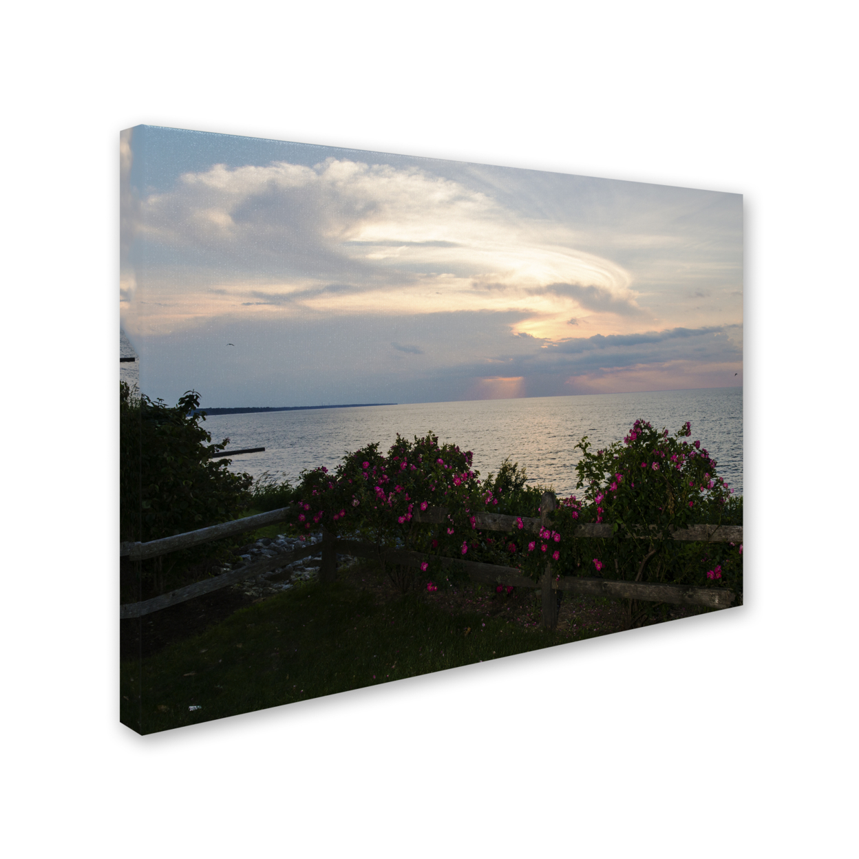 Kurt Shaffer 'Roses In Bloom Along The Lake' 14 X 19 Canvas Art