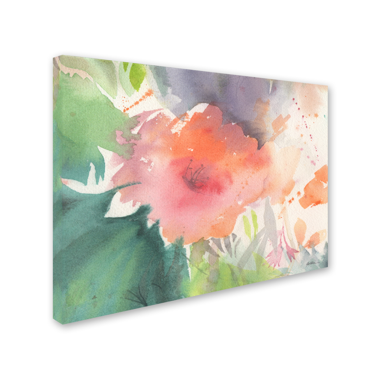 Sheila Golden 'Coral Blossom' 14 X 19 Canvas Art