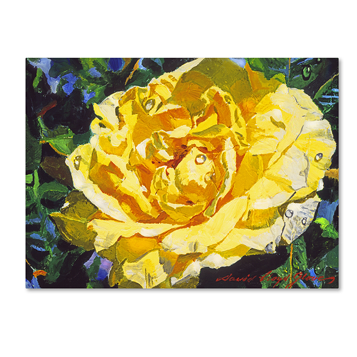 David Lloyd Glover 'Golden Rain' 14 X 19 Canvas Art