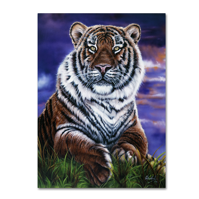 Jenny Newland 'Arizona Tiger' 14 X 19 Canvas Art