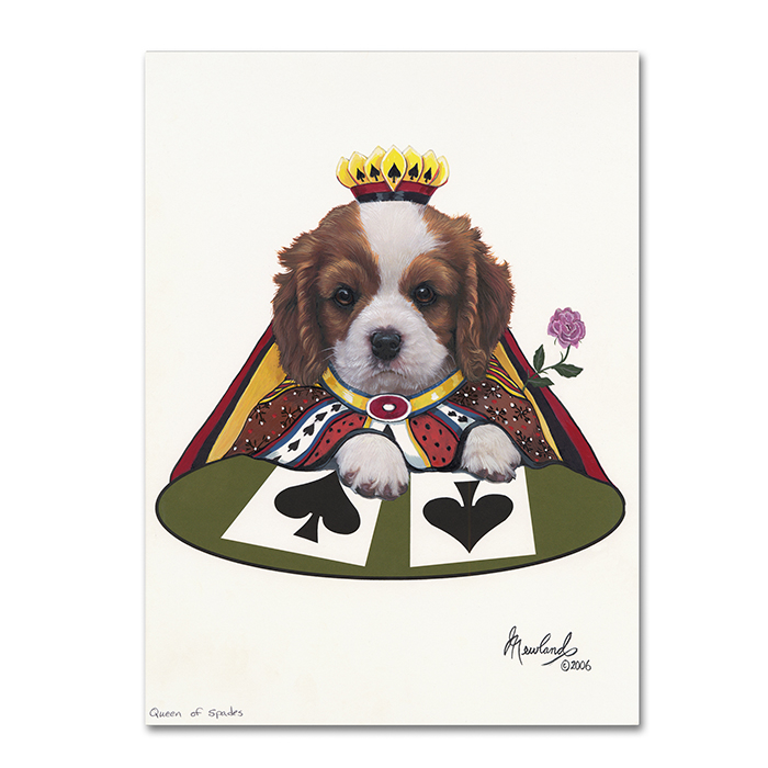 Jenny Newland 'Queen Of Spades' 14 X 19 Canvas Art