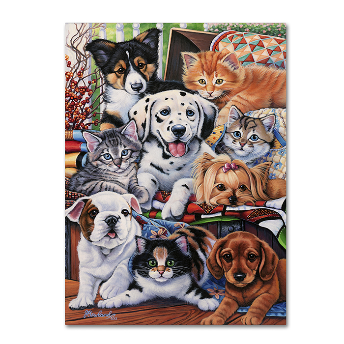 Jenny Newland 'Country Pups And Kittens II' 14 X 19 Canvas Art