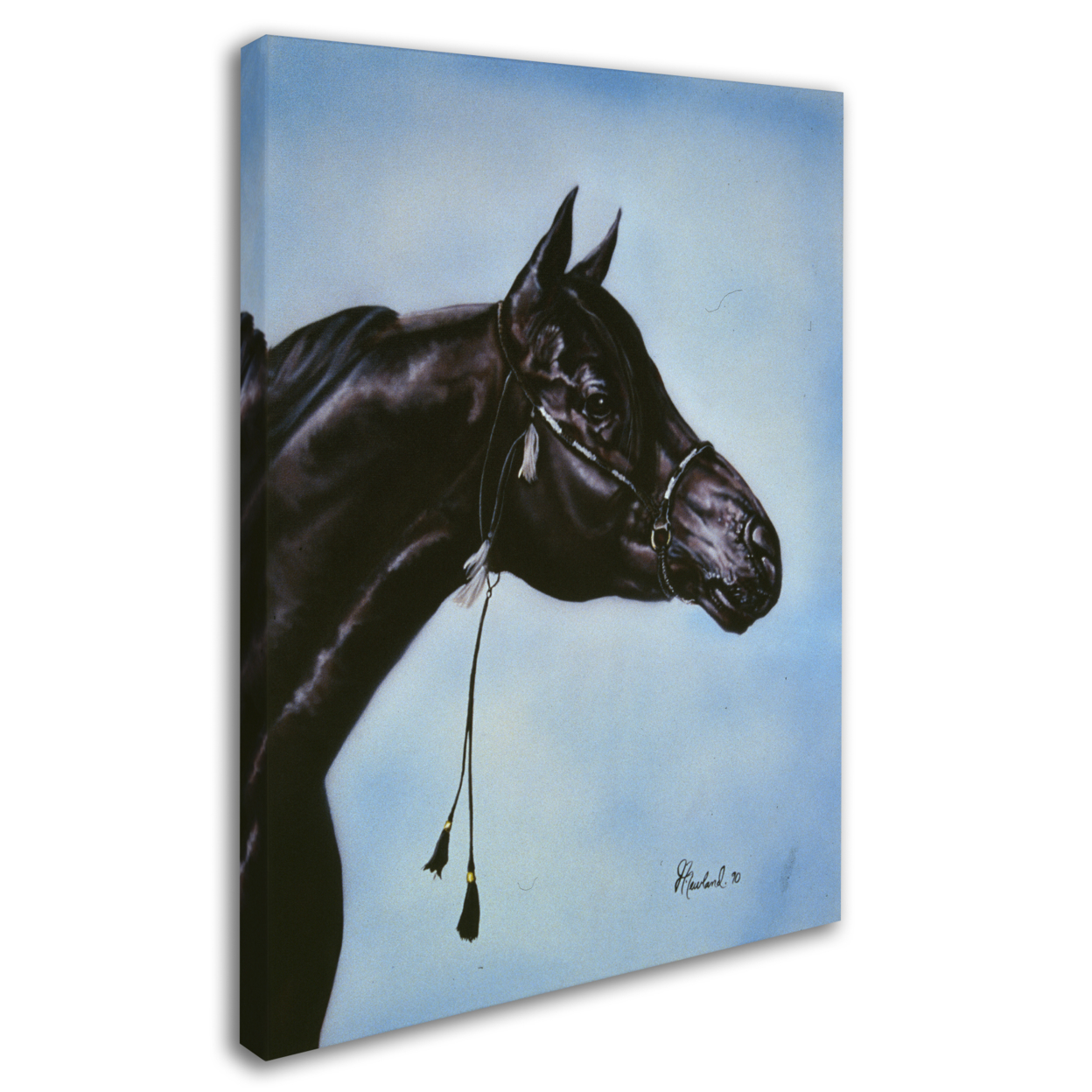 Jenny Newland 'Black Arabian' 14 X 19 Canvas Art