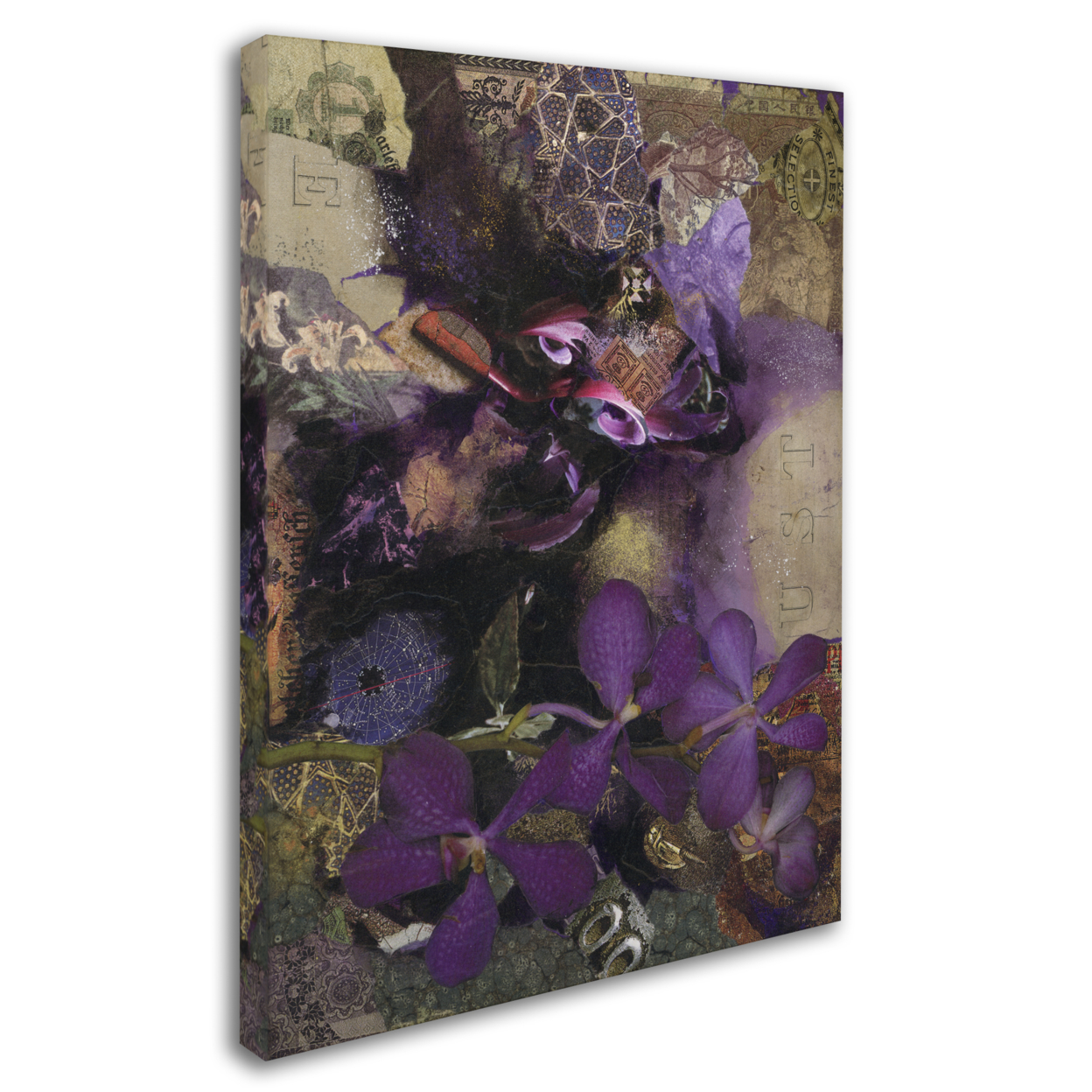 Nick Bantock 'Purple Botanical' 14 X 19 Canvas Art