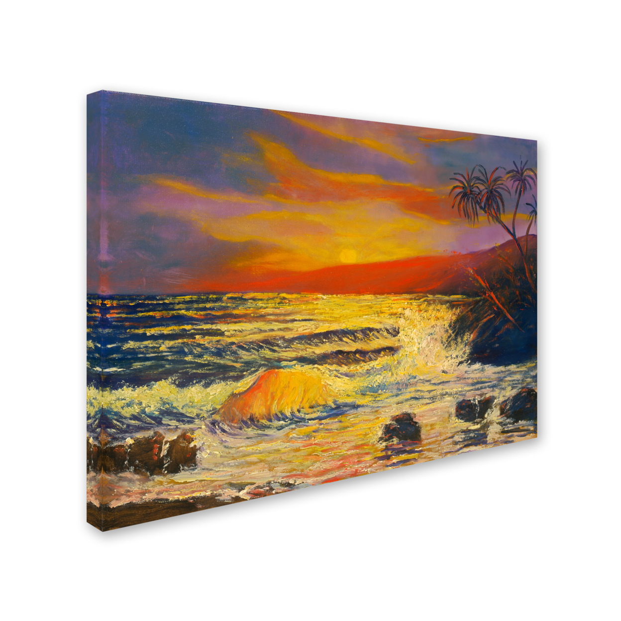 Manor Shadian 'Maui Sunset' 14 X 19 Canvas Art