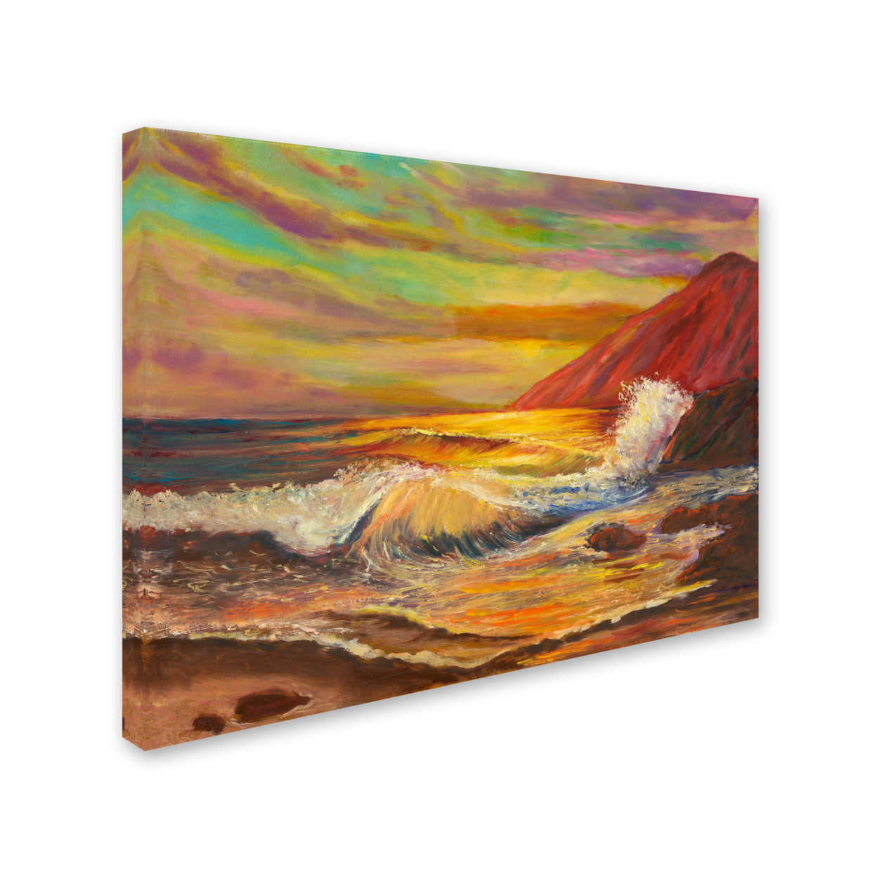 Manor Shadian 'Ka'ena Coast Sunset' 14 X 19 Canvas Art