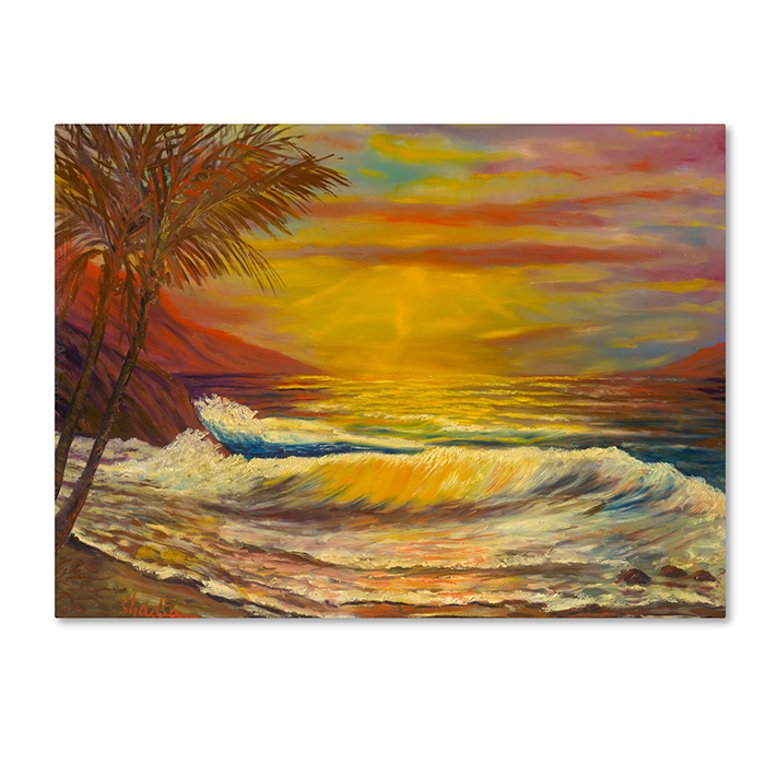 Manor Shadian 'A Tropical Lagoon' 14 X 19 Canvas Art