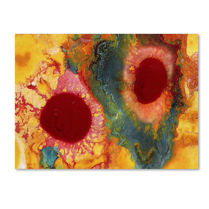 Amy Vangsgard 'Abstract Red Daisies' 14 X 19 Canvas Art
