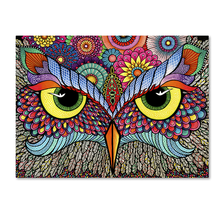 Hello Angel 'Owl Face' 14 X 19 Canvas Art