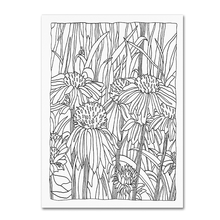 Kathy G. Ahrens 'Echinacea' 14 X 19 Canvas Art