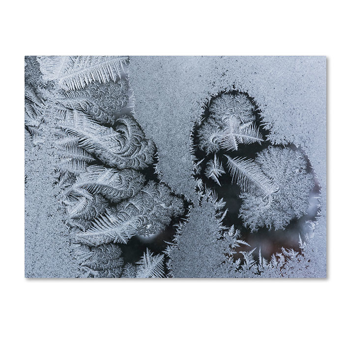 Kurt Shaffer 'Window Frost Pattern 4' 14 X 19 Canvas Art