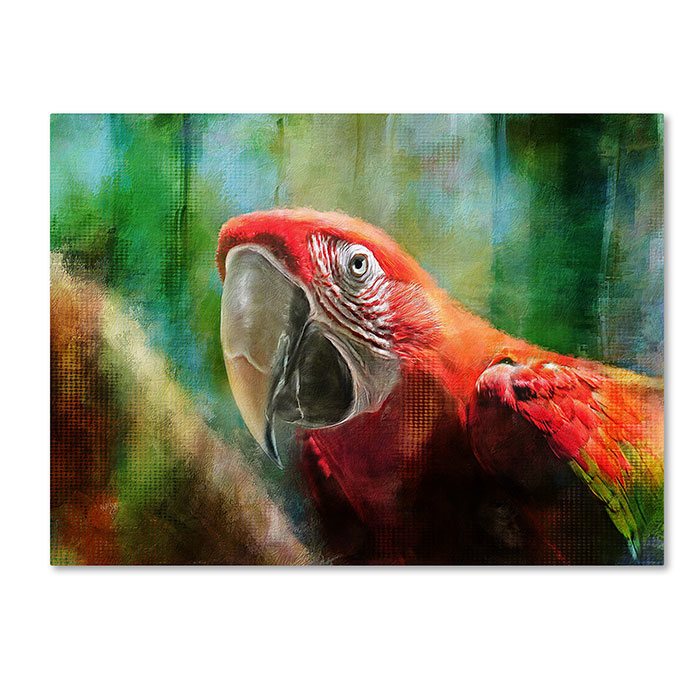 Lois Bryan 'Green Winged Macaw' 14 X 19 Canvas Art