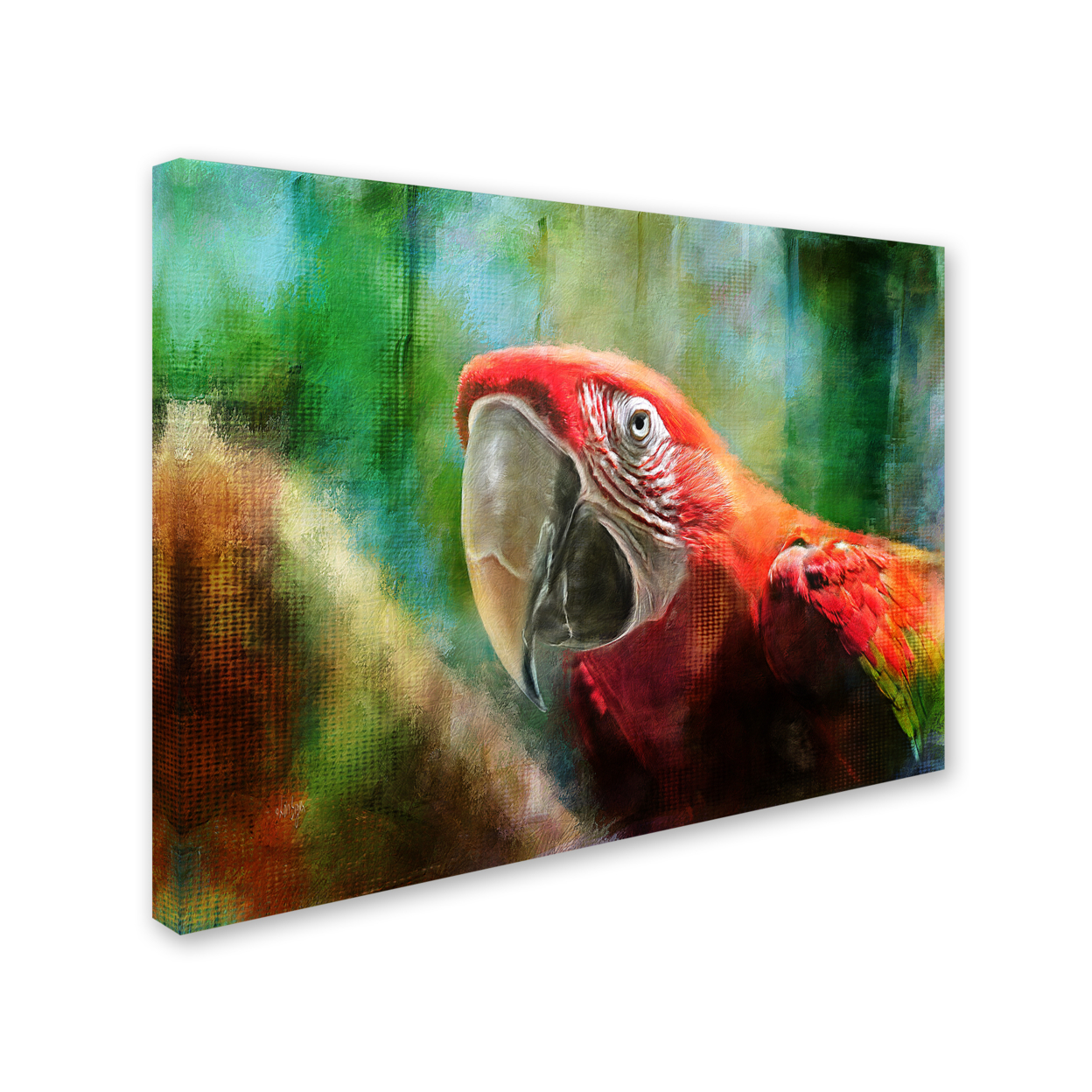 Lois Bryan 'Green Winged Macaw' 14 X 19 Canvas Art