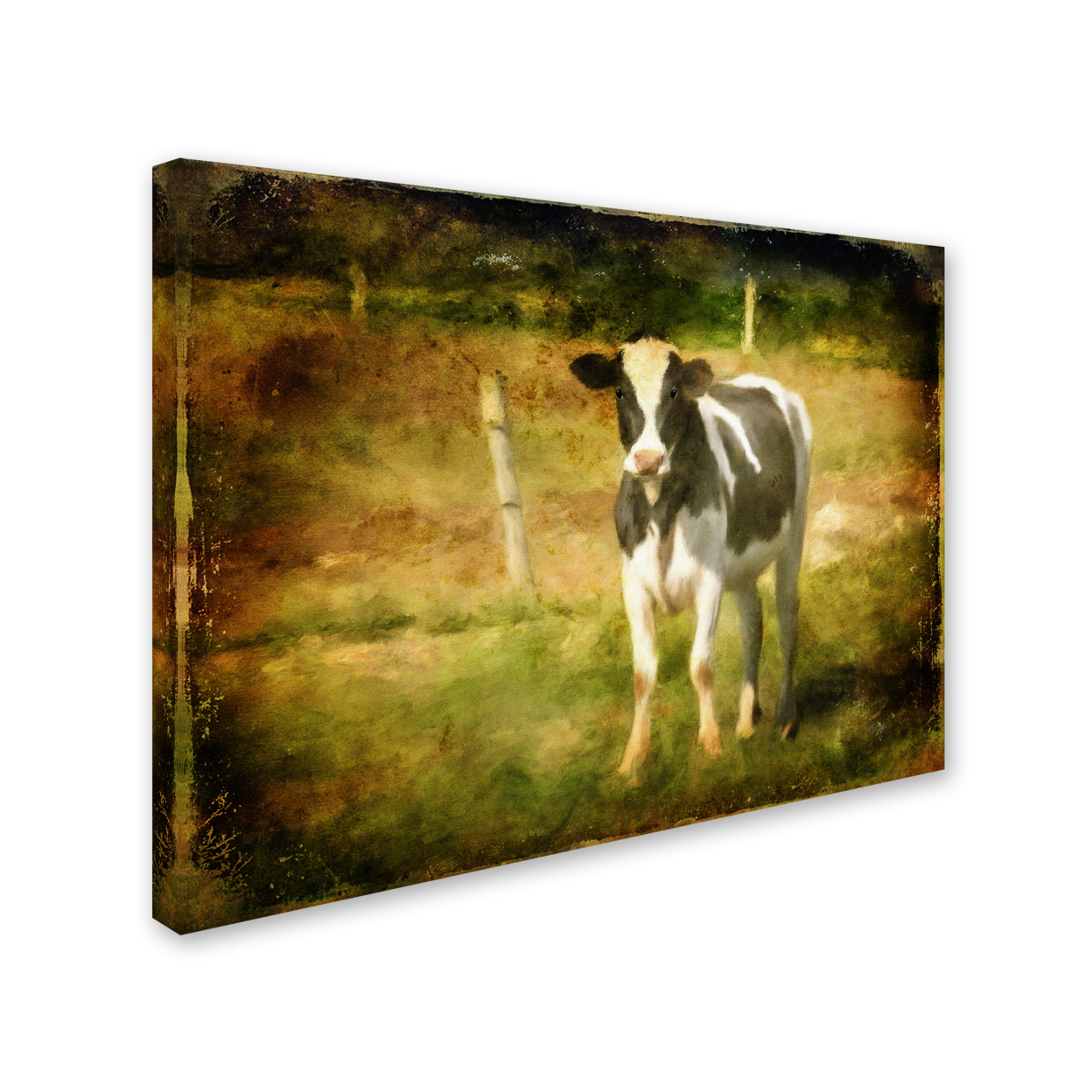 Lois Bryan 'Handsome Holstein' 14 X 19 Canvas Art