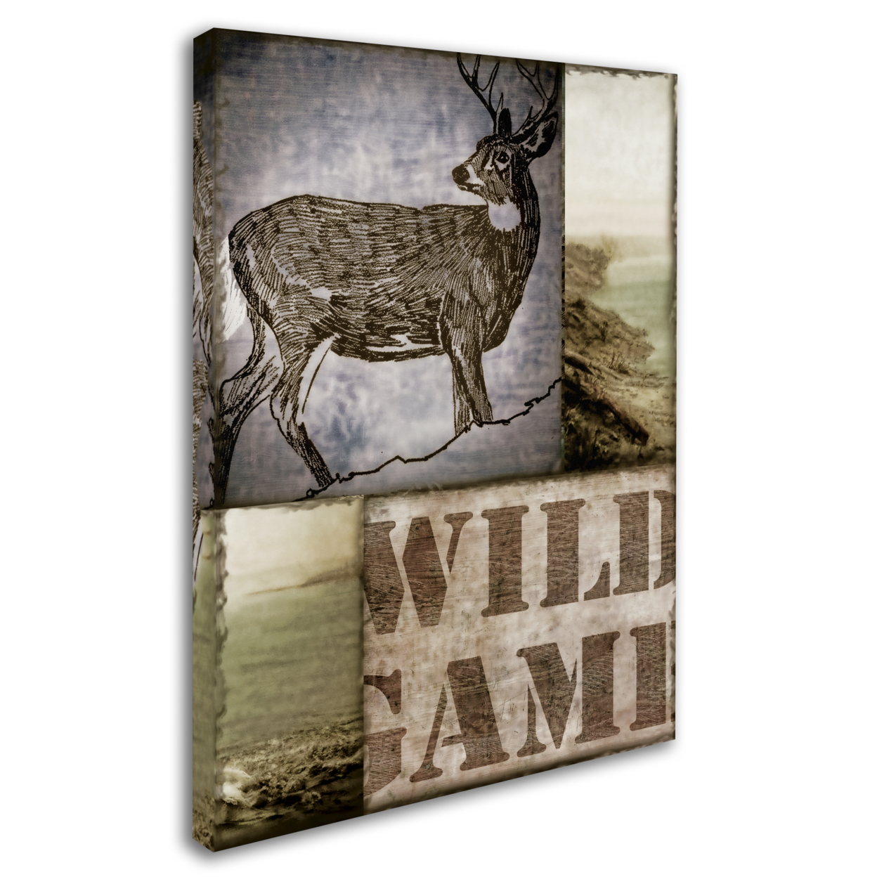Color Bakery 'Wild Game' 14 X 19 Canvas Art