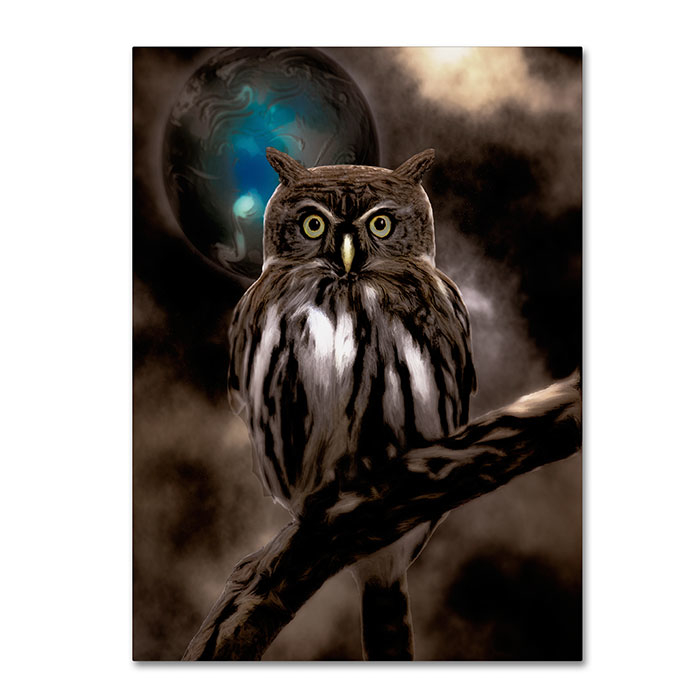 Color Bakery 'Night Owl' 14 X 19 Canvas Art
