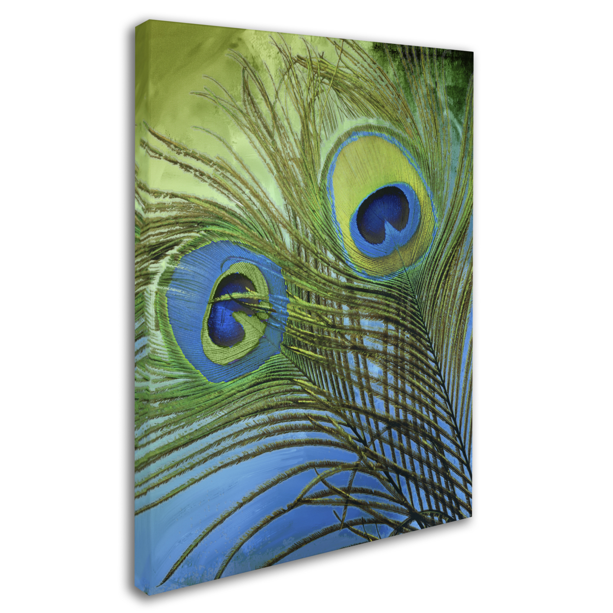 Color Bakery 'Peacock Candy I' 14 X 19 Canvas Art