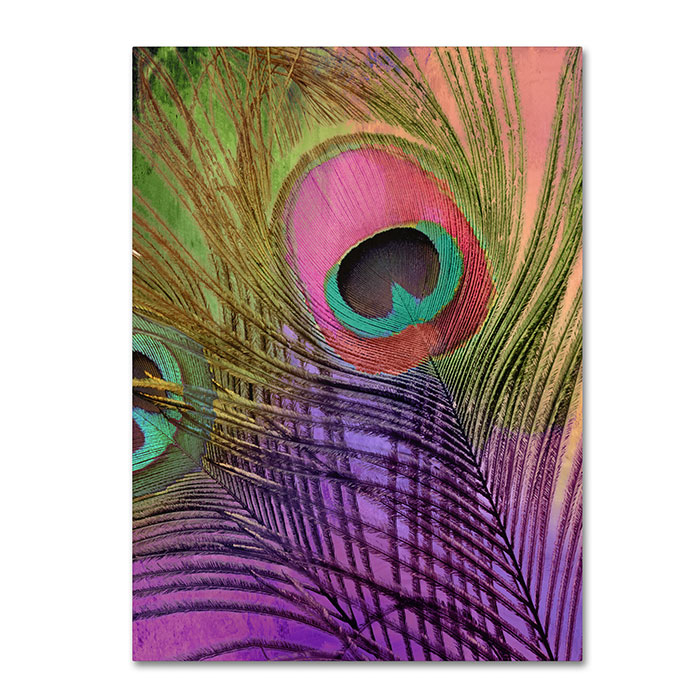 Color Bakery 'Peacock Candy III' 14 X 19 Canvas Art