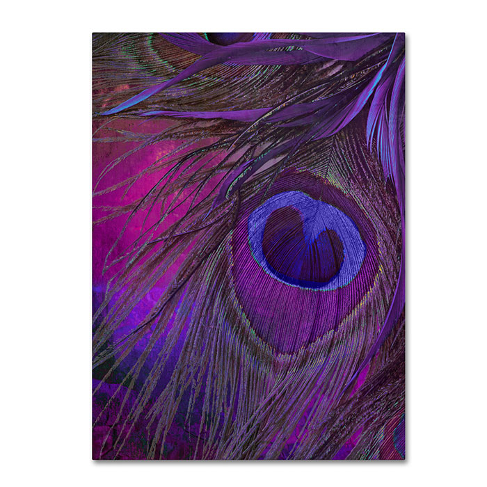 Color Bakery 'Peacock Candy IV' 14 X 19 Canvas Art