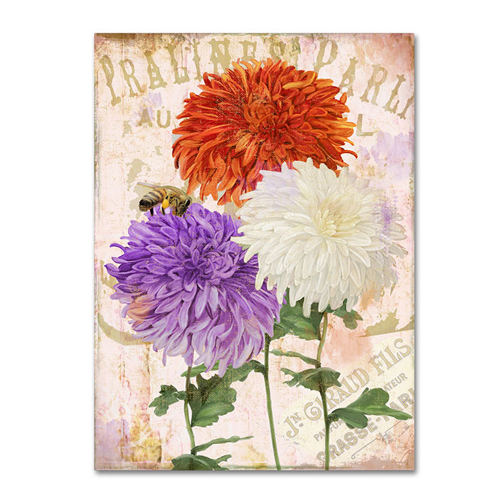 Color Bakery 'Chrysanthemums' 14 X 19 Canvas Art