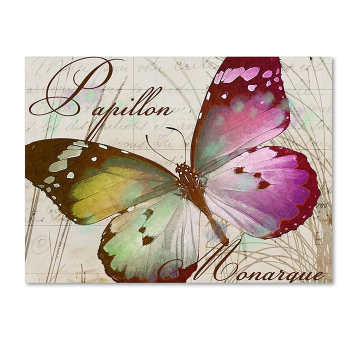 Color Bakery 'Papillon II' 14 X 19 Canvas Art