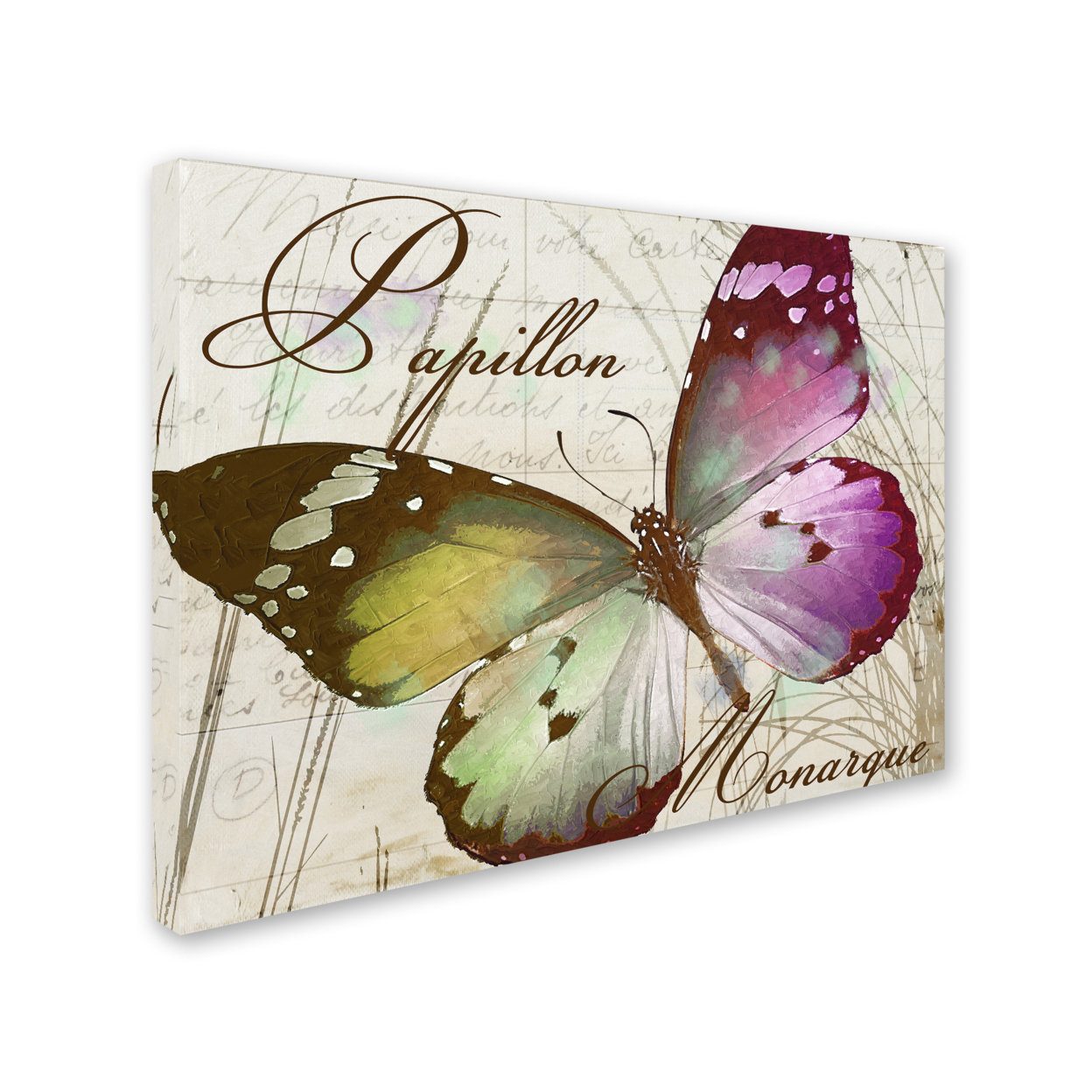 Color Bakery 'Papillon II' 14 X 19 Canvas Art