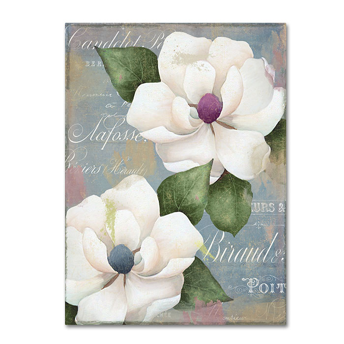 Color Bakery 'Southern Charms' 14 X 19 Canvas Art