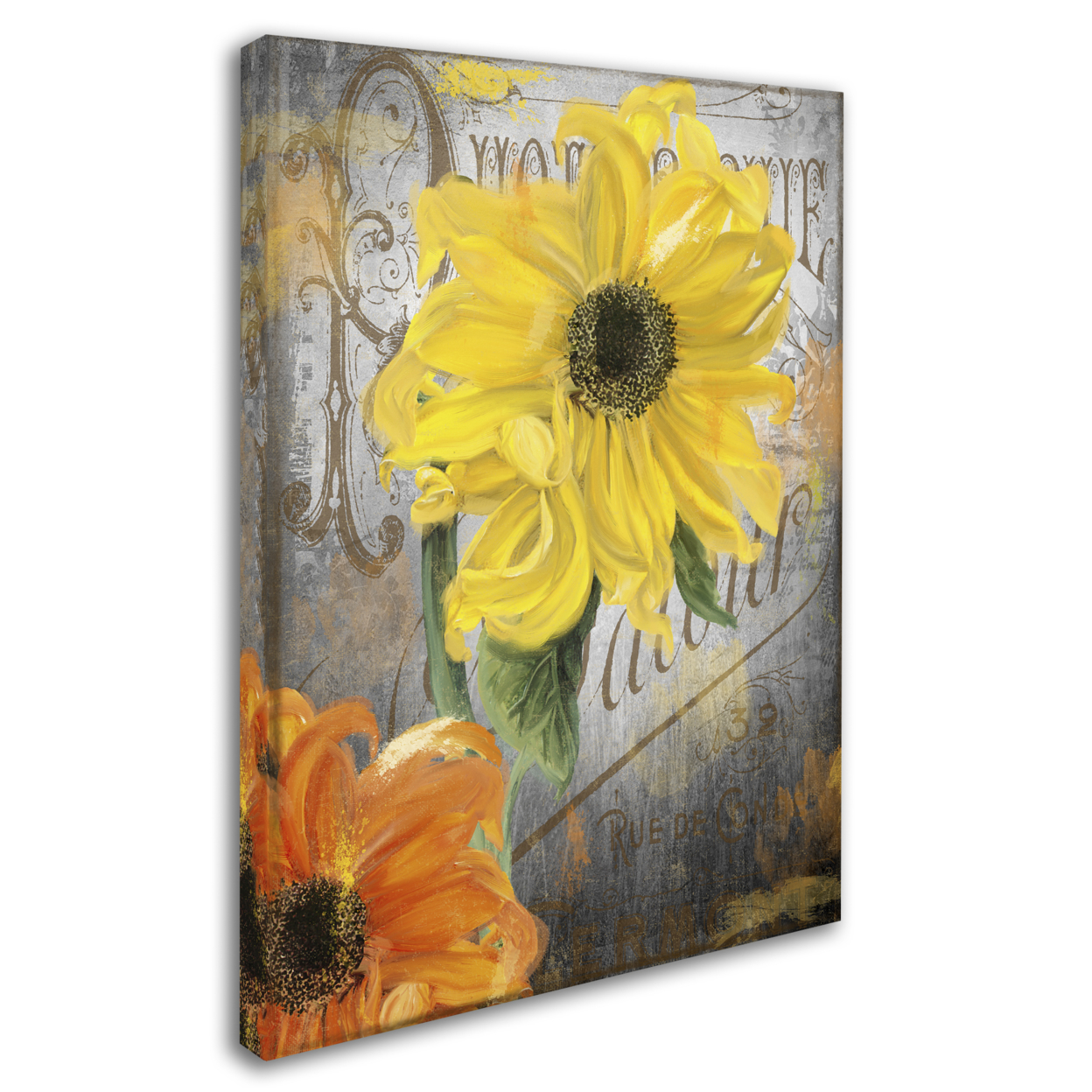 Color Bakery 'Sunflower Studio' 14 X 19 Canvas Art