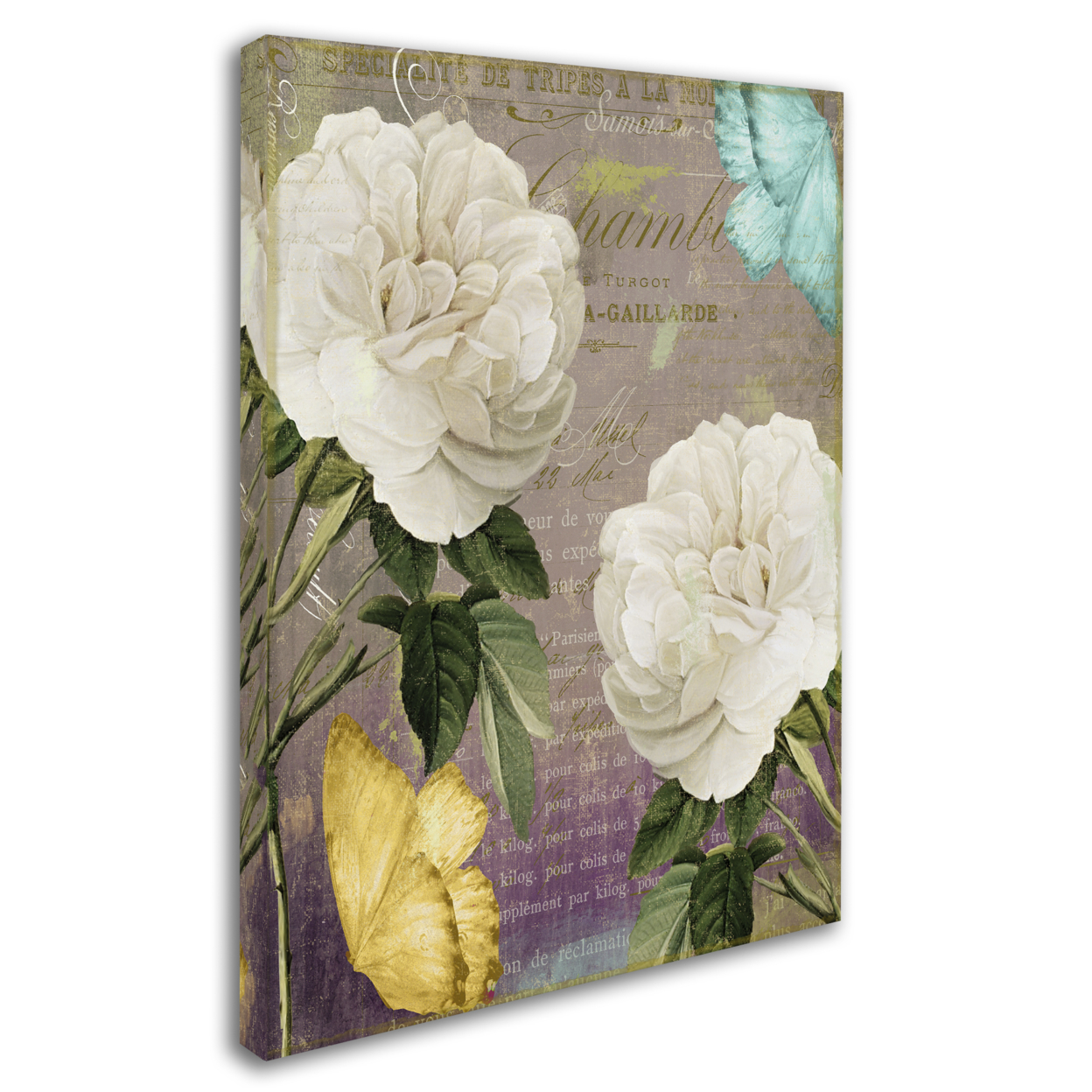 Color Bakery 'White Roses' 14 X 19 Canvas Art