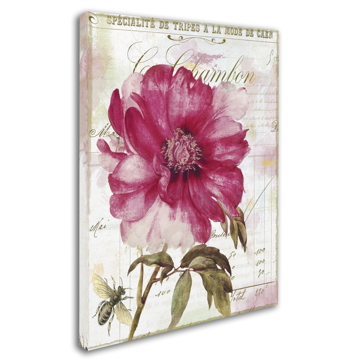 Color Bakery 'Pink Peony' 14 X 19 Canvas Art