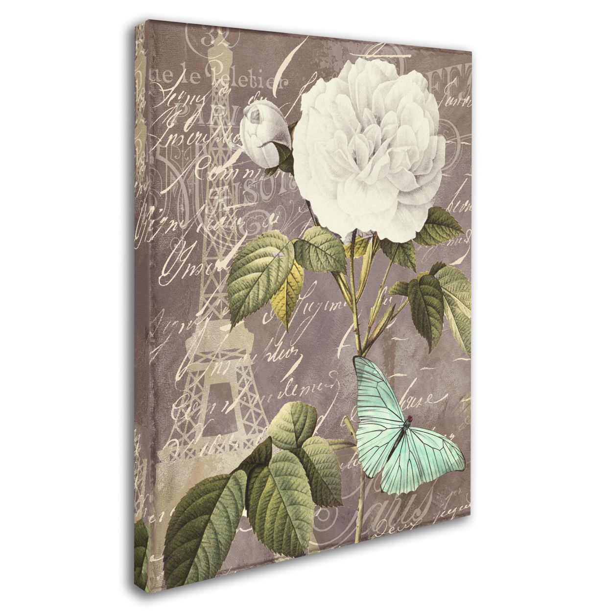 Color Bakery 'White Rose' 14 X 19 Canvas Art