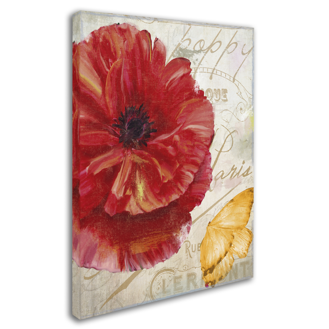 Color Bakery 'Red Poppy' 14 X 19 Canvas Art