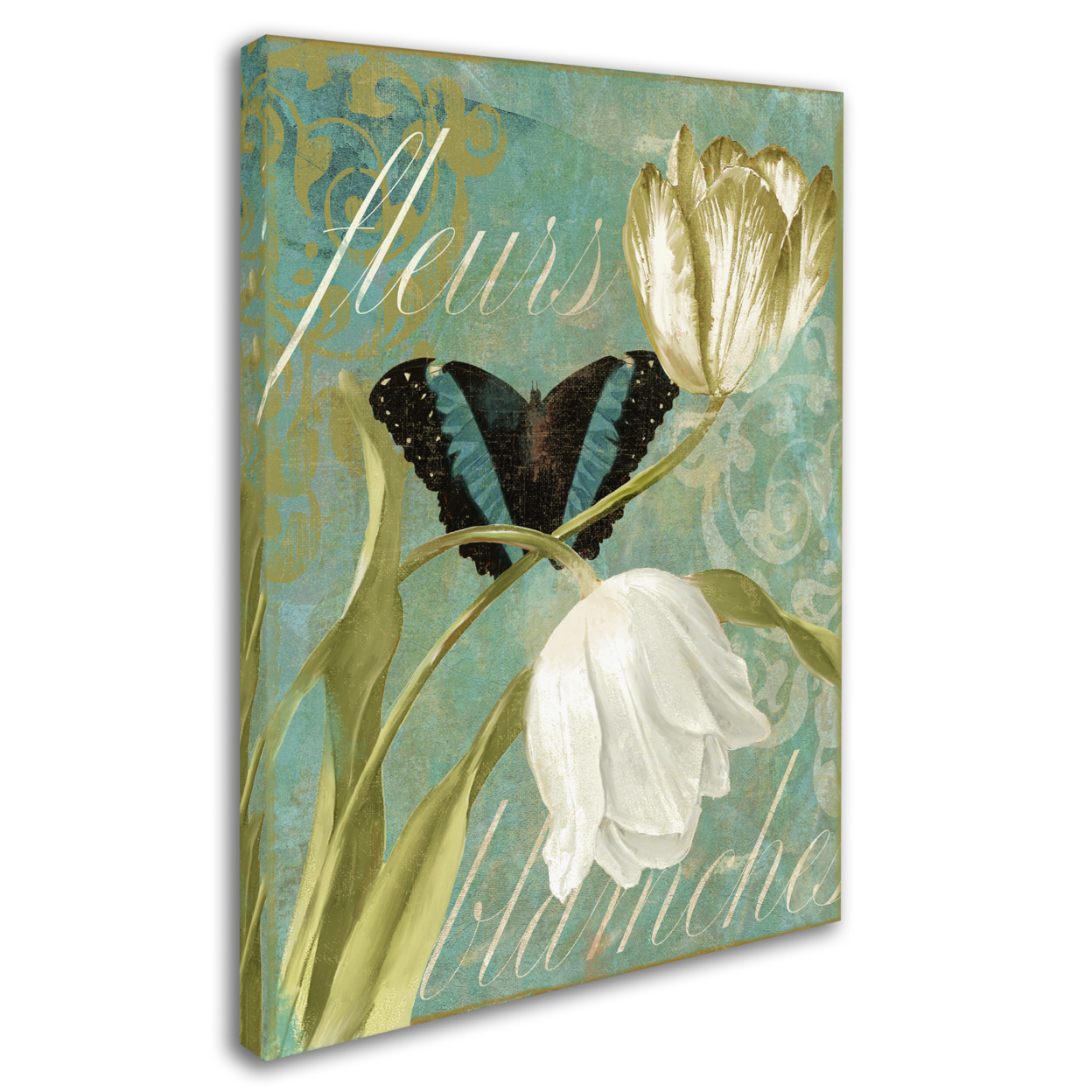 Color Bakery 'White Tulips' 14 X 19 Canvas Art