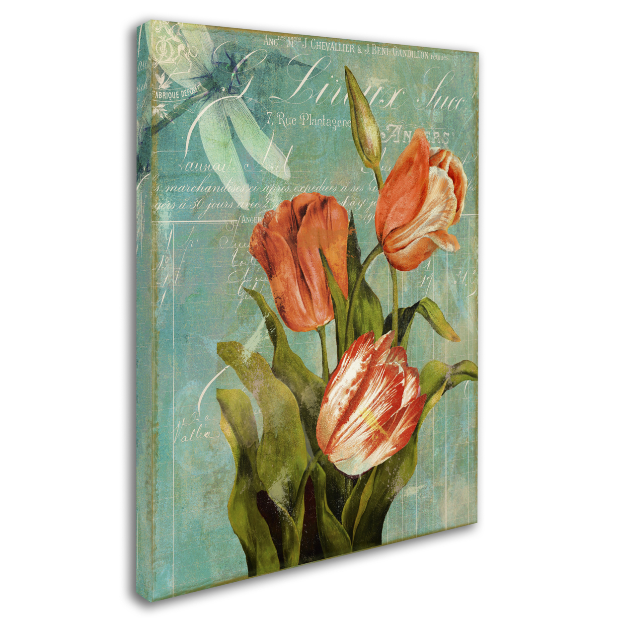Color Bakery 'Tulips Ablaze III' 14 X 19 Canvas Art